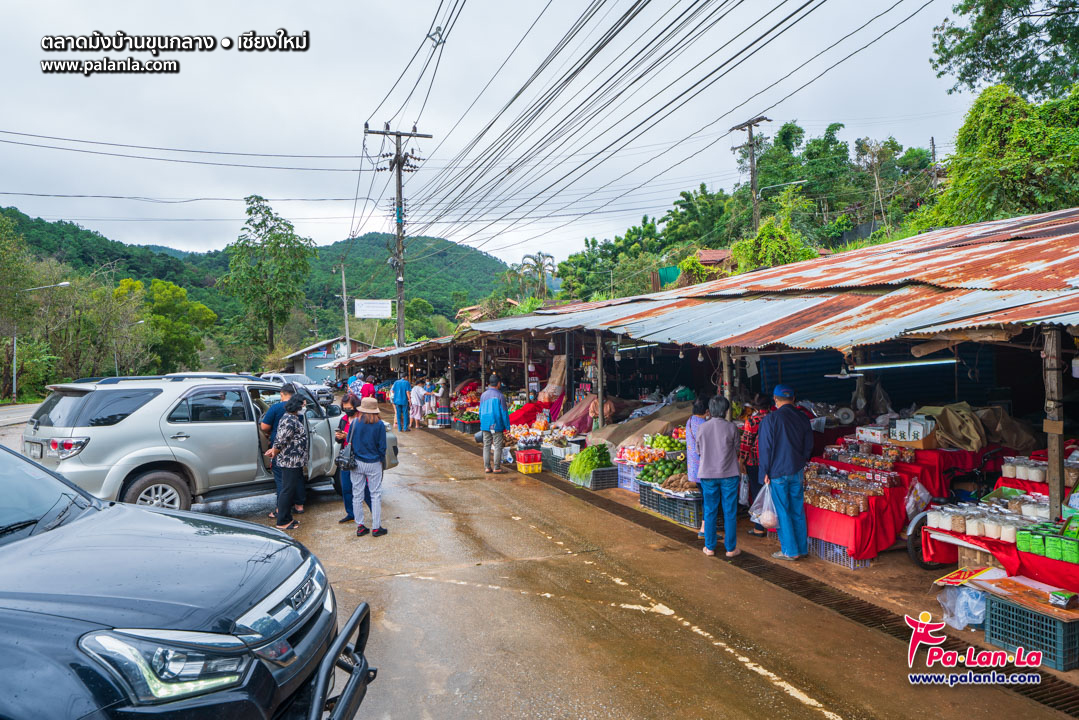 Hmong Market (Baan Khun Klang)